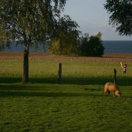 Meerblick - Einmalige Lage, Direkt An Der Ostsee Holiday home Hohenfelde (Plon)