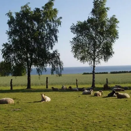 Holiday home Meerblick - Einmalige Lage, Direkt An Der Ostsee Hohenfelde (Plon)